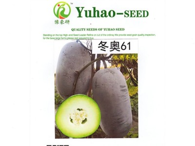 豫豪研早熟水果冬瓜种子200粒豪研粉秀图4
