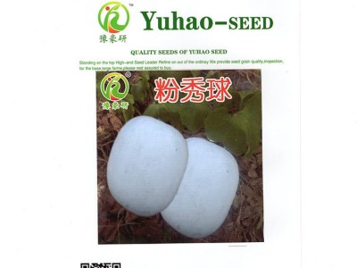 豫豪研中早熟杂交种冬瓜种子15g粉秀球图5