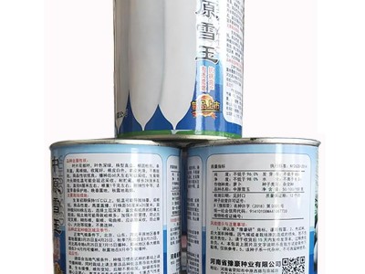 豫豪研耐暑耐热反季节白皮萝卜种子中原白雪图5