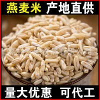 批发燕麦米1斤新货燕麦仁杂粮谷物雀麦粒粗粮米商用家用去皮燕麦