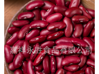批发红芸豆1斤红腰豆大红豆英国红大芸豆五谷杂粮散装新货港口供图2