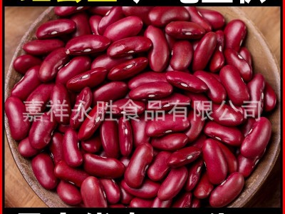 批发红芸豆1斤红腰豆大红豆英国红大芸豆五谷杂粮散装新货港口供图5