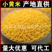 厂家批发小黄米1斤今年新小米糯小米家用煮粥小米红谷小米黄小米