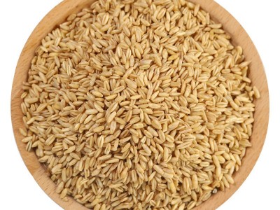 燕麦米500克胚芽燕麦内蒙古胚芽燕麦煮粥批发五谷杂粮厂家直供图2