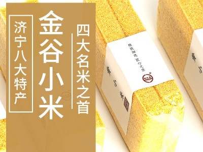 黄小米500g批发散装山西新米农家香糯小米五谷杂粮粥粗粮鹤 来香图5