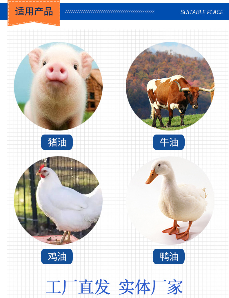 动物油精炼设备_10