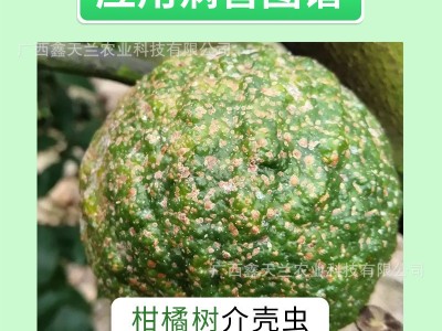 鑫天兰33%螺虫·噻嗪酮胃毒内吸药效稳定抑虫杀卵持效期长介壳虫图4