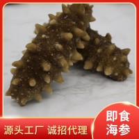 大连即食海参鲜活海参开袋即食厂家现货批发商用批发顺丰包邮500g