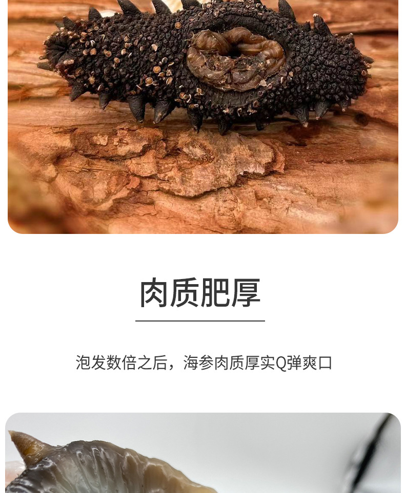 大连纯淡干海参详情_04.jpg