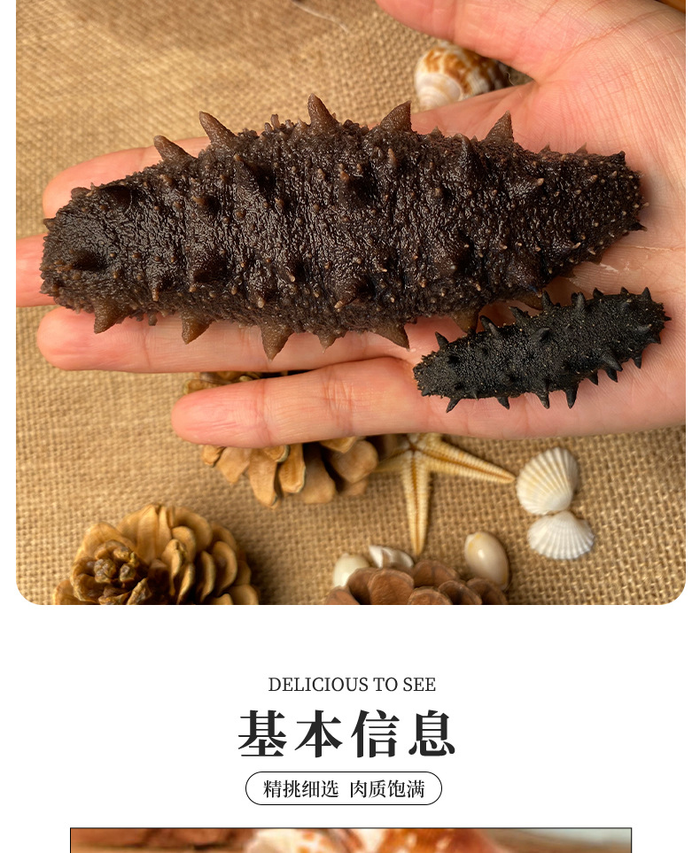 大连纯淡干海参详情_08.jpg
