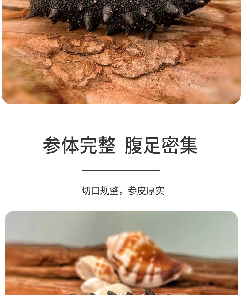 大连纯淡干海参详情_05.jpg