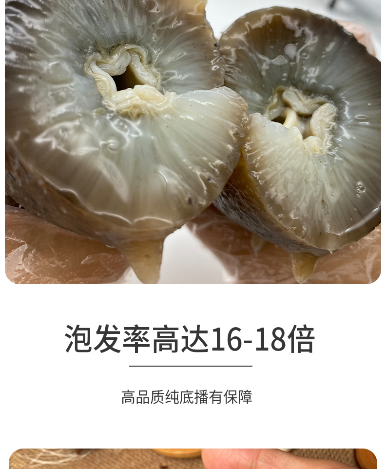 大连纯淡干海参详情_07.jpg