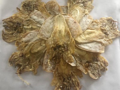 淡晒大号墨鱼干 海味特产全淡墨鱼干乌贼干 水产干货500g批发图5