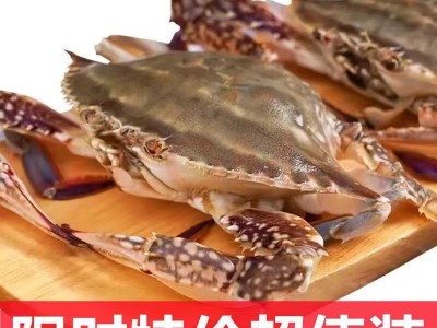 鲜活冷冻梭子蟹 冷冻大公母梭子蟹商用活蟹批发图2