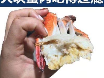 鲜活冷冻梭子蟹 冷冻大公母梭子蟹商用活蟹批发图5