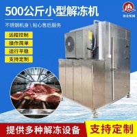 食品解冻设备肉制品不锈钢冻品冻羊牛肉化冻机低温高湿小型解冻机