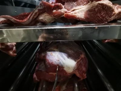 食品解冻设备肉制品不锈钢冻品冻羊牛肉化冻机低温高湿小型解冻机图2