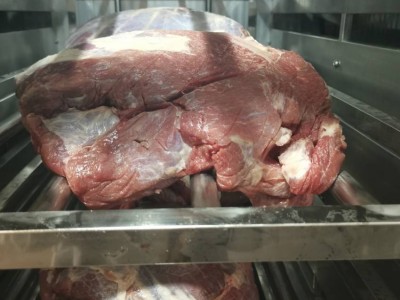 食品解冻设备肉制品不锈钢冻品冻羊牛肉化冻机低温高湿小型解冻机图3