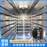 全自动不锈钢集装箱型解冻机冷冻食品保鲜可控温解冻设备支持定制