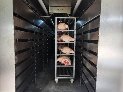 全自动不锈钢集装箱型解冻机冷冻食品保鲜可控温解冻设备支持定制图2