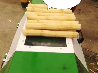 全自动甘蔗去皮机 甘蔗剥皮切断机 电动甘蔗脱皮机 削甘蔗皮机器图3
