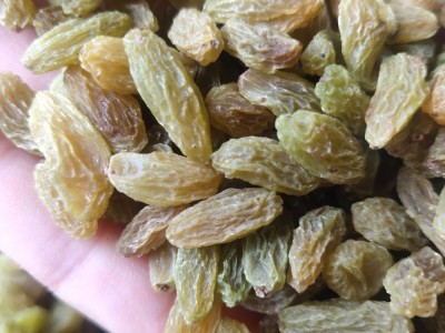 新货上市新疆葡萄干肉质饱满酸甜可口休闲食品 500克葡萄干图4
