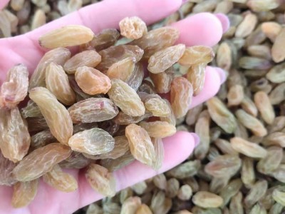 新疆特产无核大粒绿提子葡萄干休闲食品500克装 葡萄干图2
