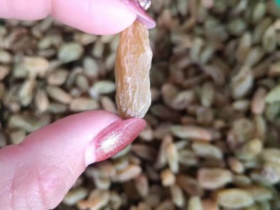 新疆特产无核大粒绿提子葡萄干休闲食品500克装 葡萄干图3