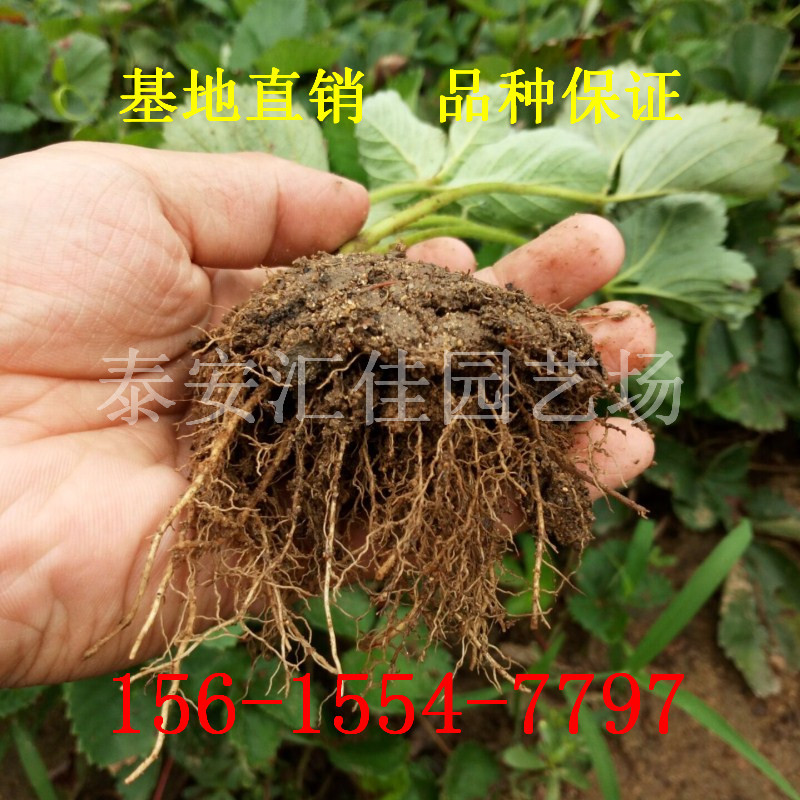 图片20160722210639_副本_副本