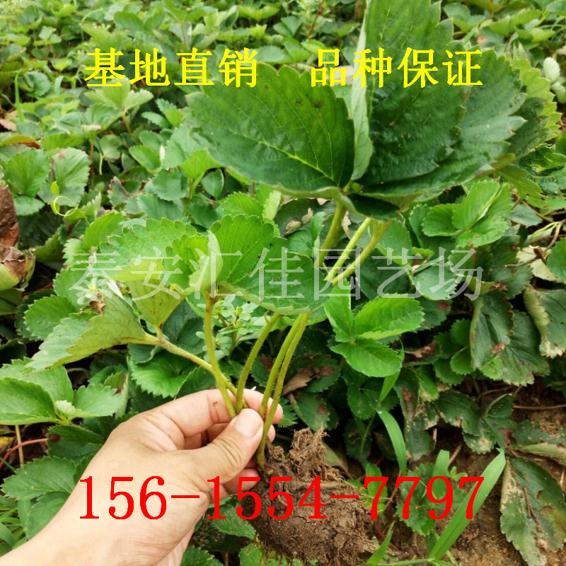 图片20160722210649_副本_副本