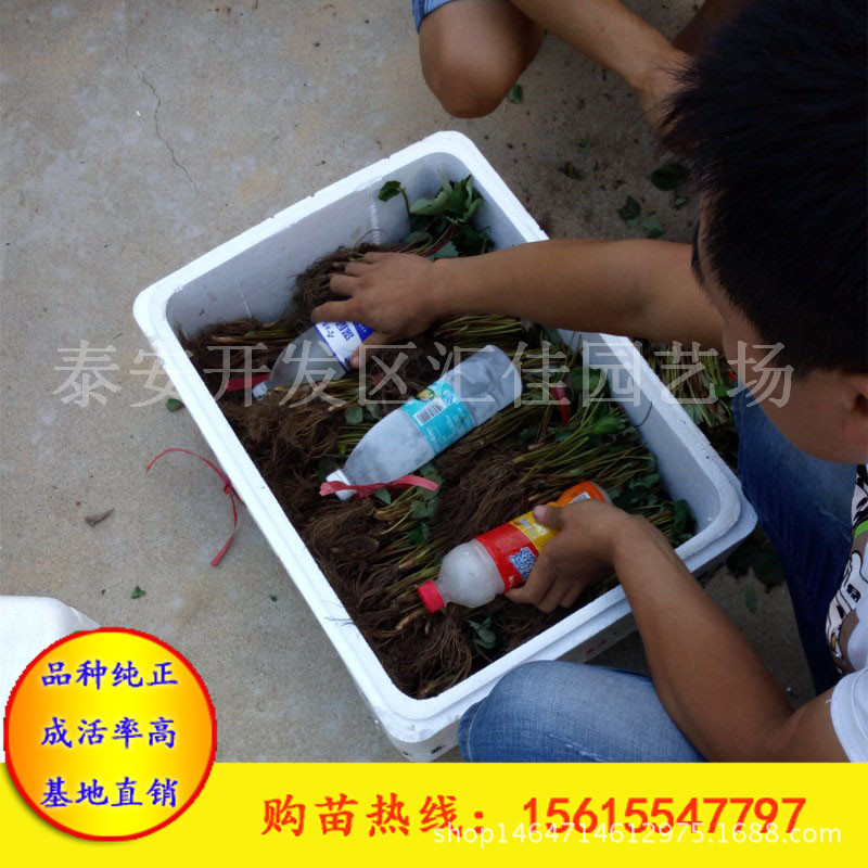 汇佳园艺场