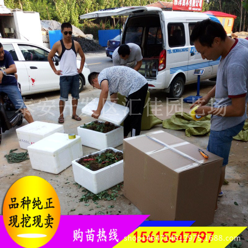 汇佳园艺场