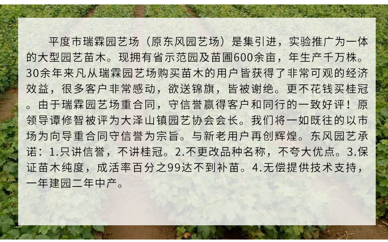 内页_02