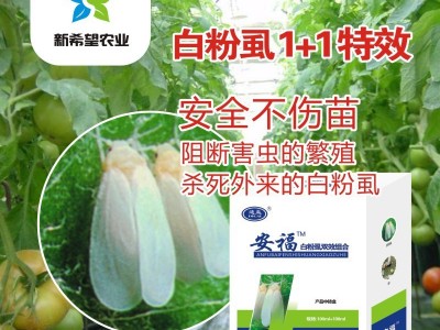 白粉虱专用杀虫剂药杀虫杀卵啶虫脒黄瓜番茄茄子蔬菜白粉虱杀虫剂图4