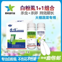 白粉虱专用杀虫剂药杀虫杀卵啶虫脒黄瓜番茄茄子蔬菜白粉虱杀虫剂