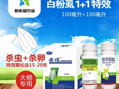 白粉虱专用杀虫剂药杀虫杀卵啶虫脒黄瓜番茄茄子蔬菜白粉虱杀虫剂图3