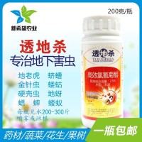 地下害虫专用杀虫剂 蝼蛄蛴螬地老虎金针虫蟋蟀地蚜药材 200g包邮