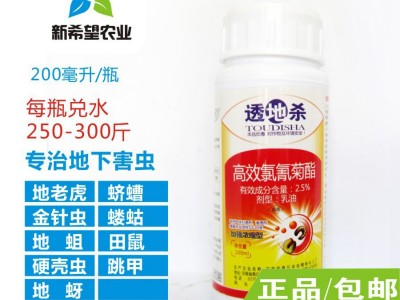 地下害虫专用杀虫剂 蝼蛄蛴螬地老虎金针虫蟋蟀地蚜药材 200g包邮图3