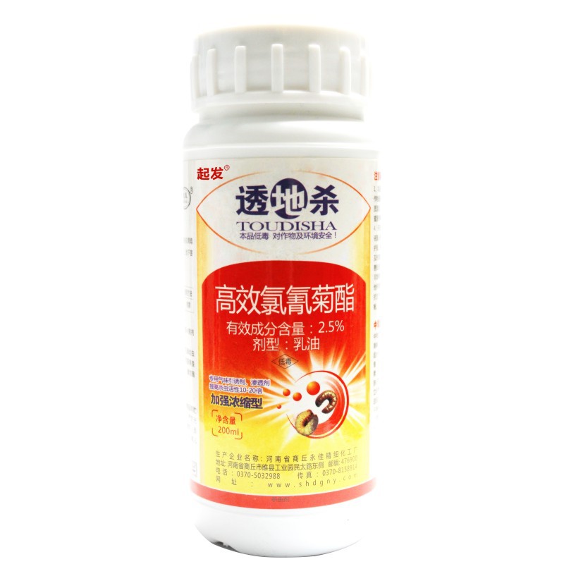 toudisha-tou-11.jpg
