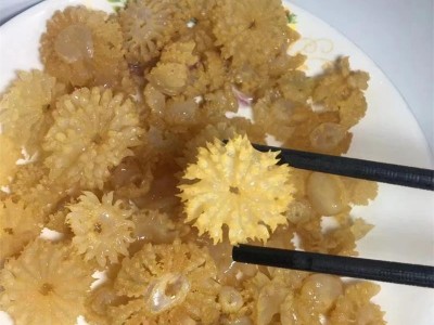 菊花海蜇头批发干净无沙脆嫩爽口海蜇非即食凉拌菜桶装海蜇头批发图4