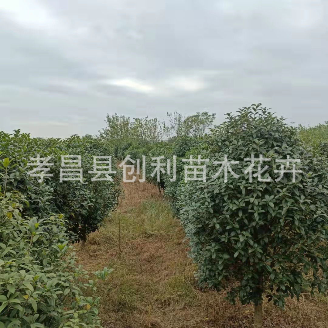 微信图片_20211016160215