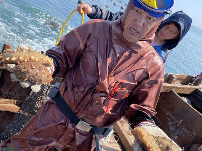大连纯淡干海参 深海海参干货50g/件 货源稳定厂家直销可一件代发图5