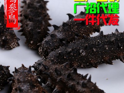 大连纯淡干海参 深海海参干货50g/件 货源稳定厂家直销可一件代发图2