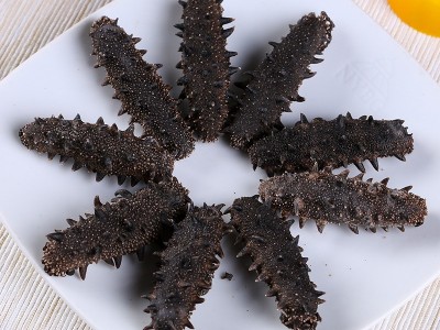 大连纯淡干海参 深海海参干货50g/件 货源稳定厂家直销可一件代发图4