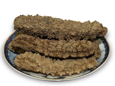 大黄玉参 20头淡干黄肉参 刺王海味干货 厚肉发头大 海参批发500g图5