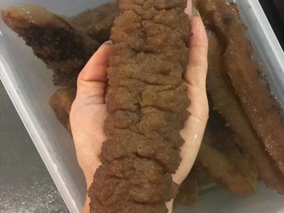 大黄玉参 20头淡干黄肉参 刺王海味干货 厚肉发头大 海参批发500g图2