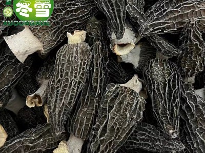 【精品六妹剪柄羊肚菌】直批食用菌食材一件代发淘宝货源诚招代理图3