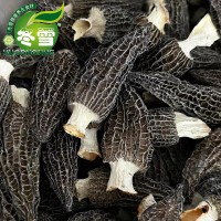 【精品六妹剪柄羊肚菌】直批食用菌食材一件代发淘宝货源诚招代理
