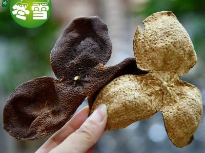 【陈皮】大货直批陈皮碎食材一件代发淘宝货源全国诚招代理图3