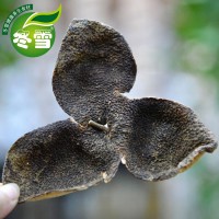 【陈皮】大货直批陈皮碎食材一件代发淘宝货源全国诚招代理